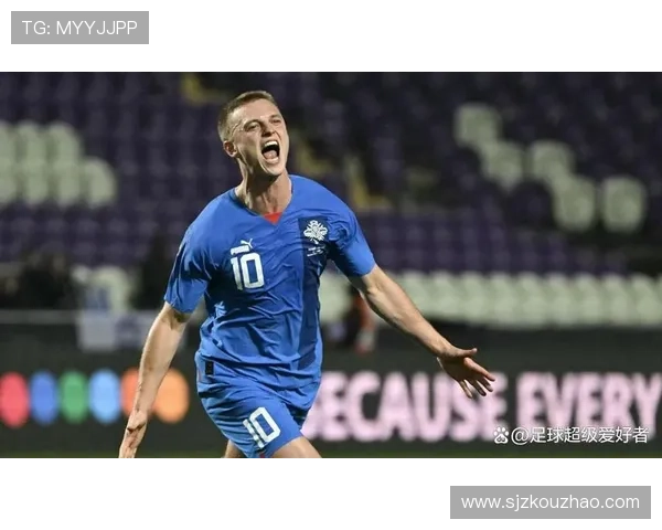 冰岛足球明星阵容揭秘他们如何在国际赛场上崭露头角